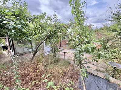 Picture 17